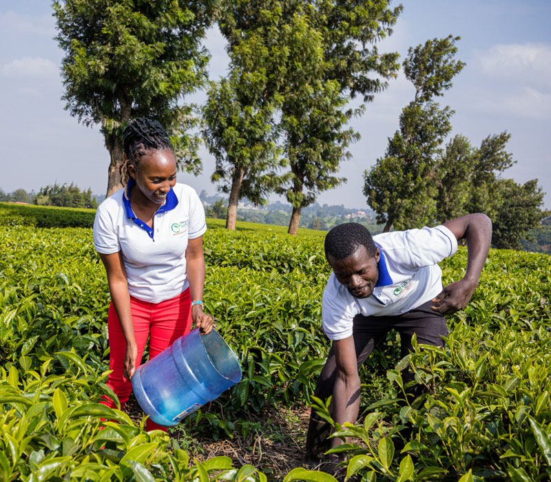 Promoting-Agriculture-Project-1
